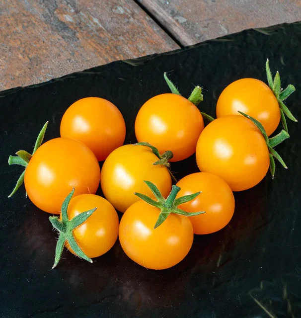 Tomato Sungold F1 - Image 3