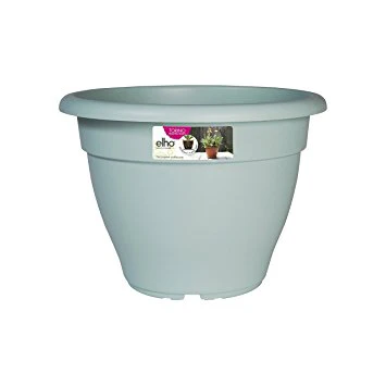 torino campana 30cm mint