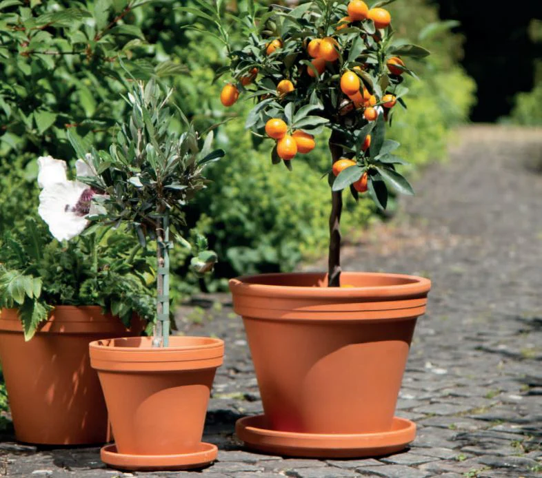 Traditional Terracotta Pot Ø33cm H27cm - Image 3
