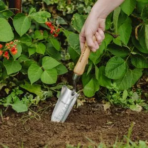 Transplanting Trowel SS Hand - Image 3