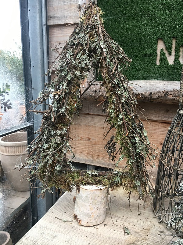 Tree Larix Triangle Open 40cm