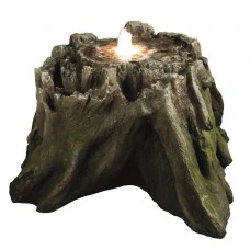 Tree Trunk Section