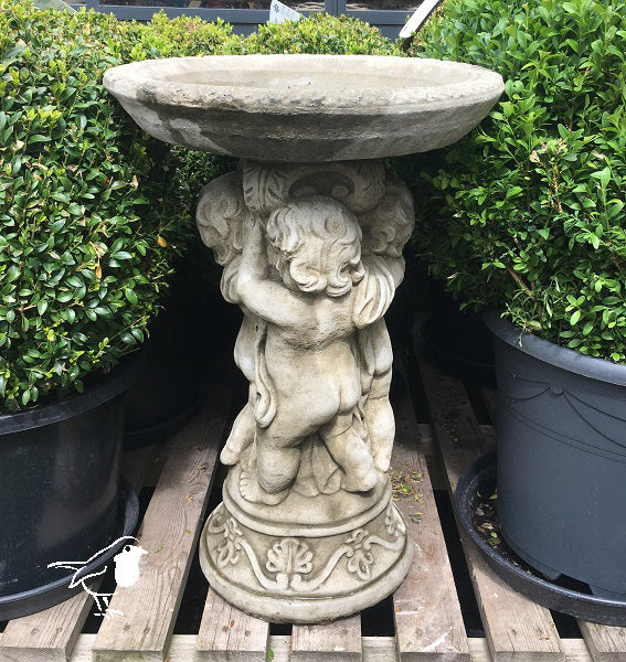 Triple Cherub