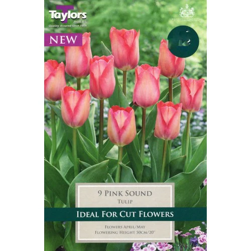 TULIP PINK SOUND 8