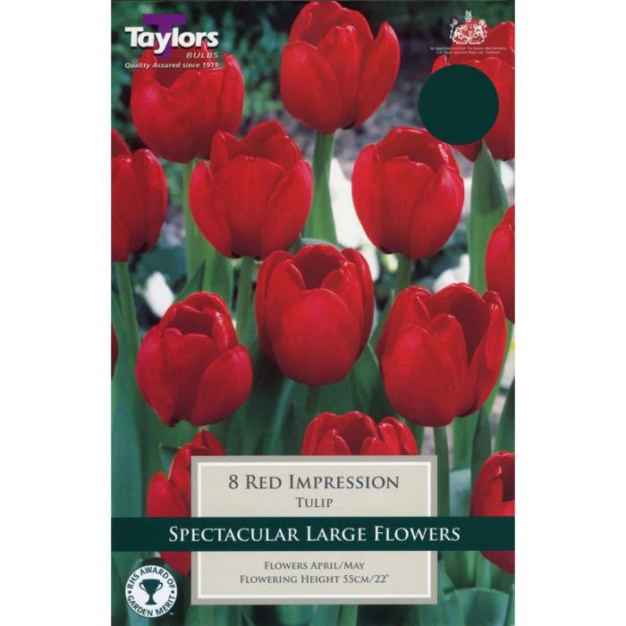 TULIP RED IMPRESSION