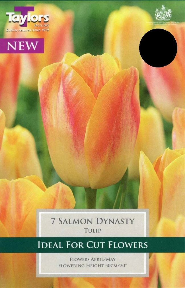 TULIP SALMON DYNASTY