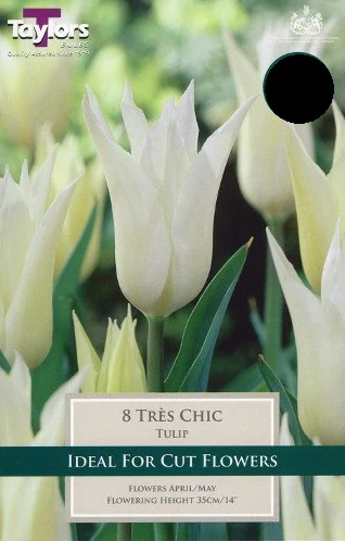 TULIP TRES CHIC