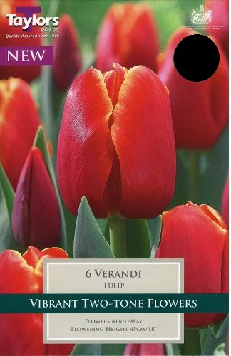 TULIP VERANDI