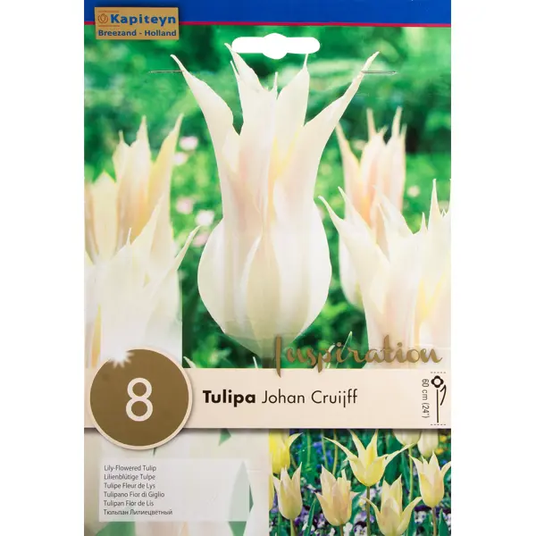 TULIPA JOHAN CRUIJFF 8