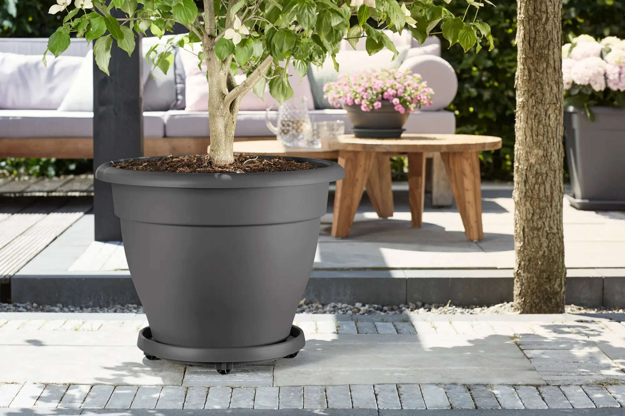 universal planttaxi anthracite Ø30cm - Image 2