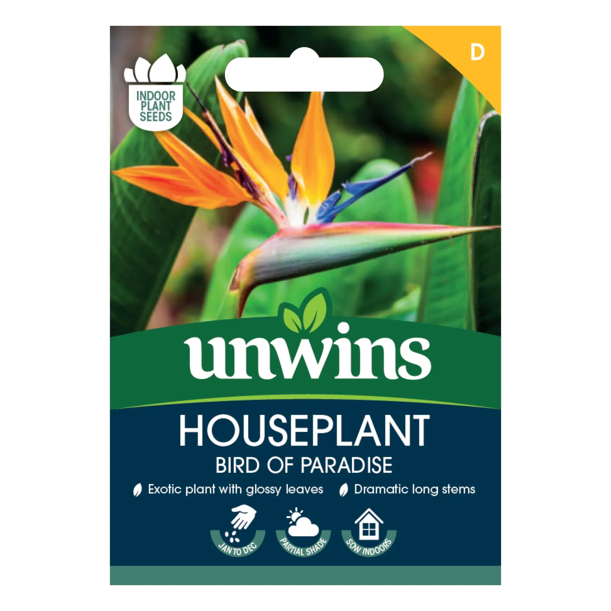 Unwins Houseplant Bird of Paradise (Strelitzia Reginae)