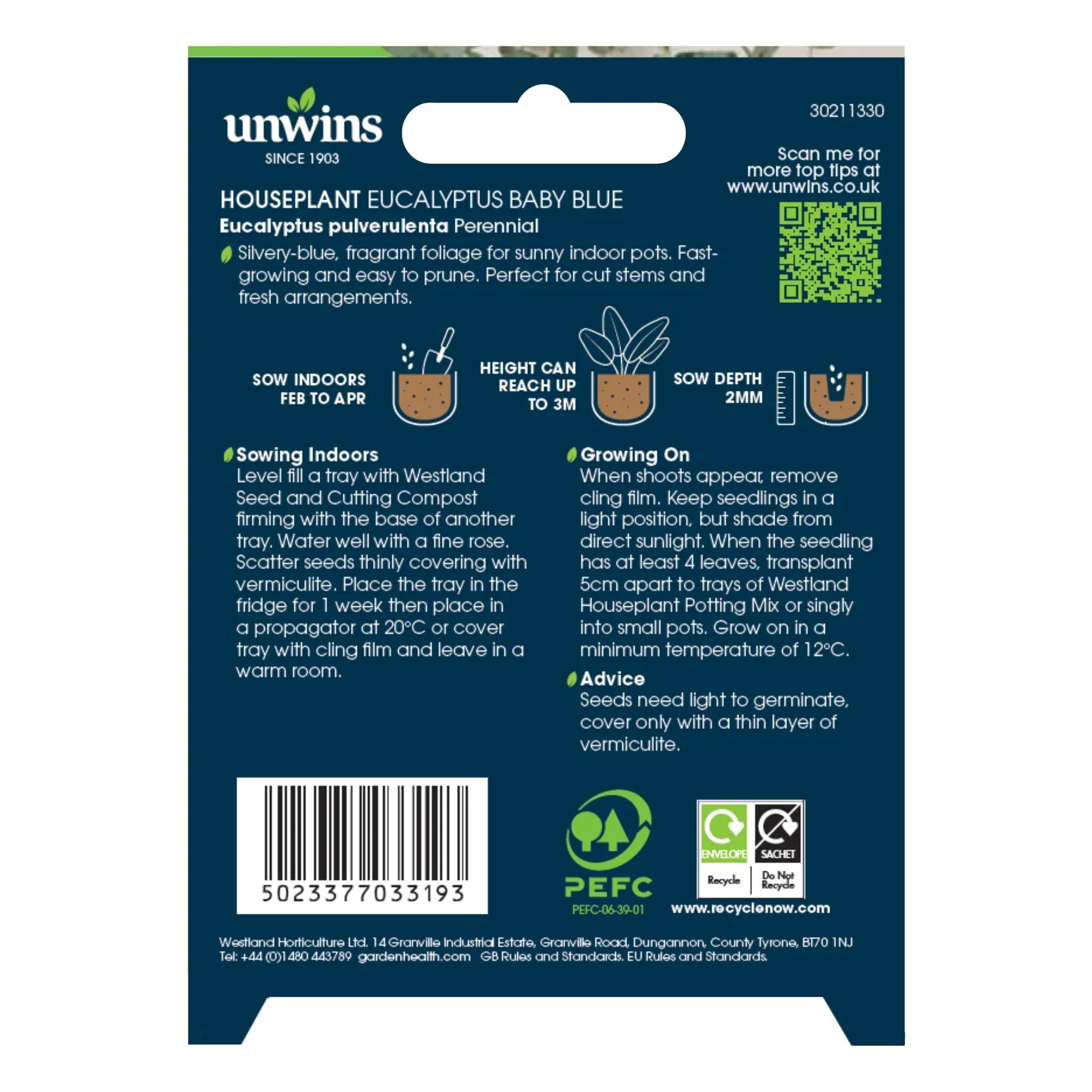 Unwins Houseplant Eucalyptus Baby Blue - Image 2