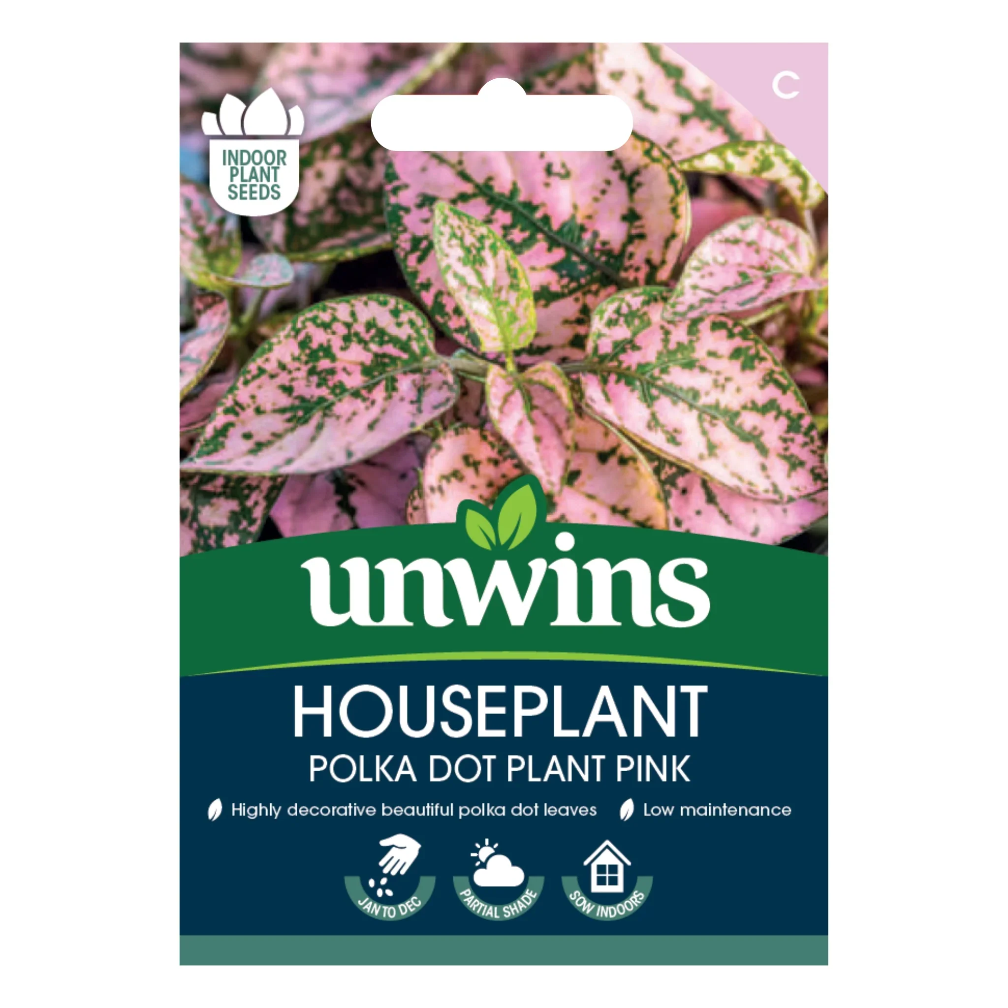 Unwins Houseplant Hypoestes Polka Dot Plant Pink