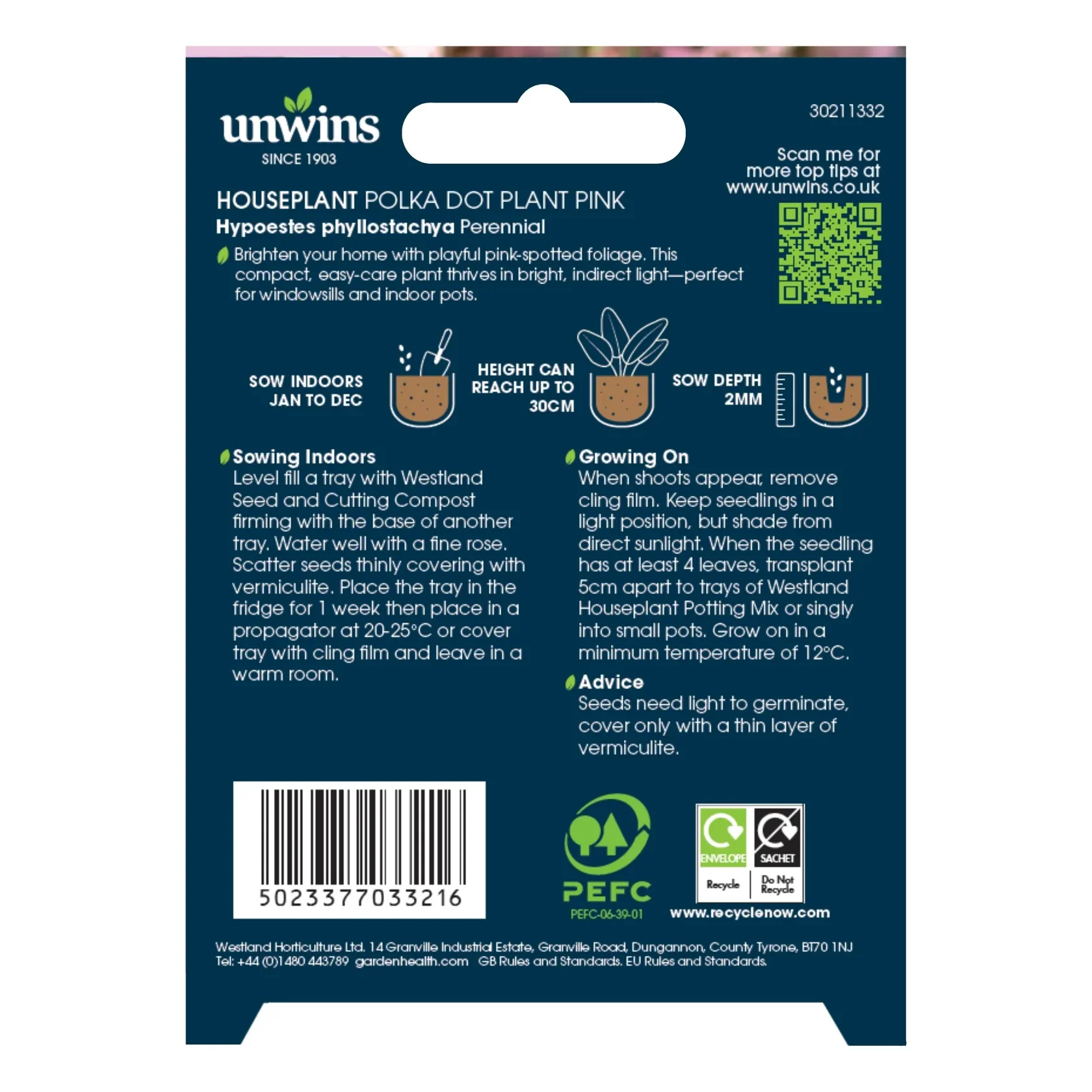 Unwins Houseplant Hypoestes Polka Dot Plant Pink - Image 2