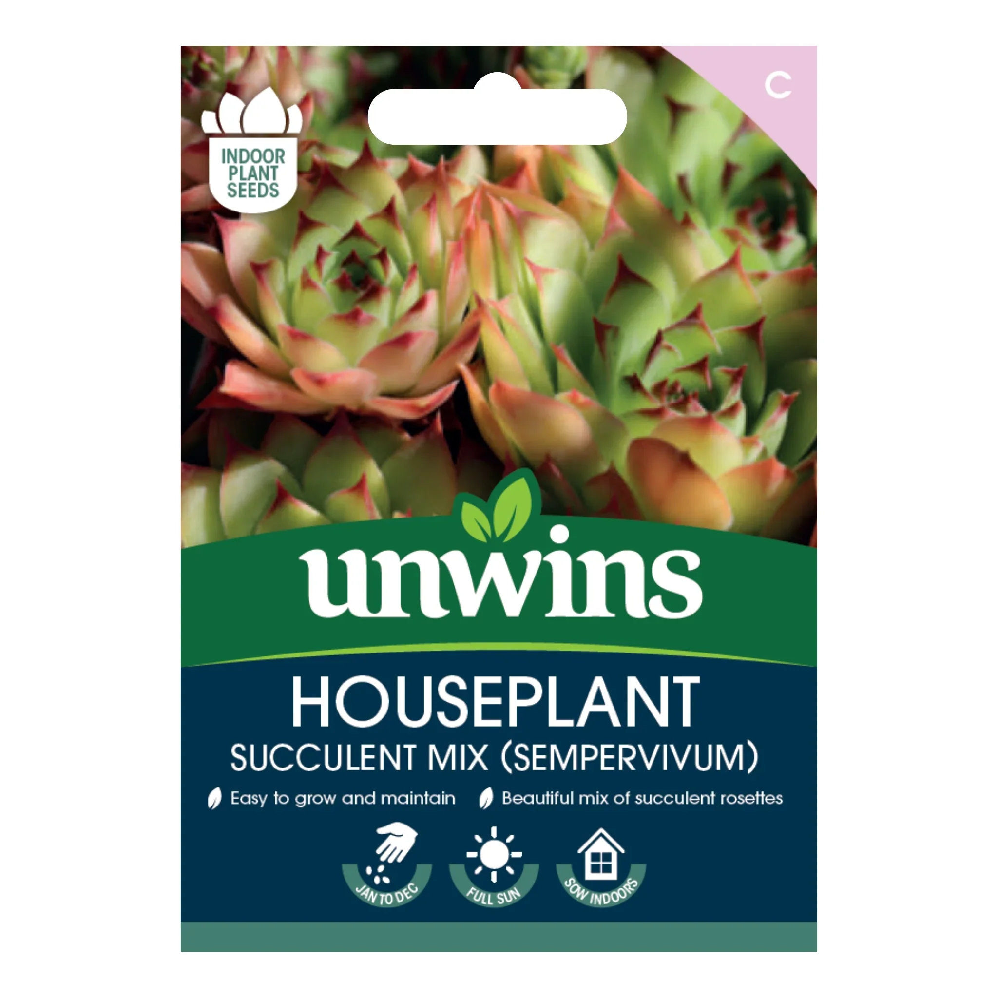 Unwins Houseplant Succulent Mix (Sempervivum)