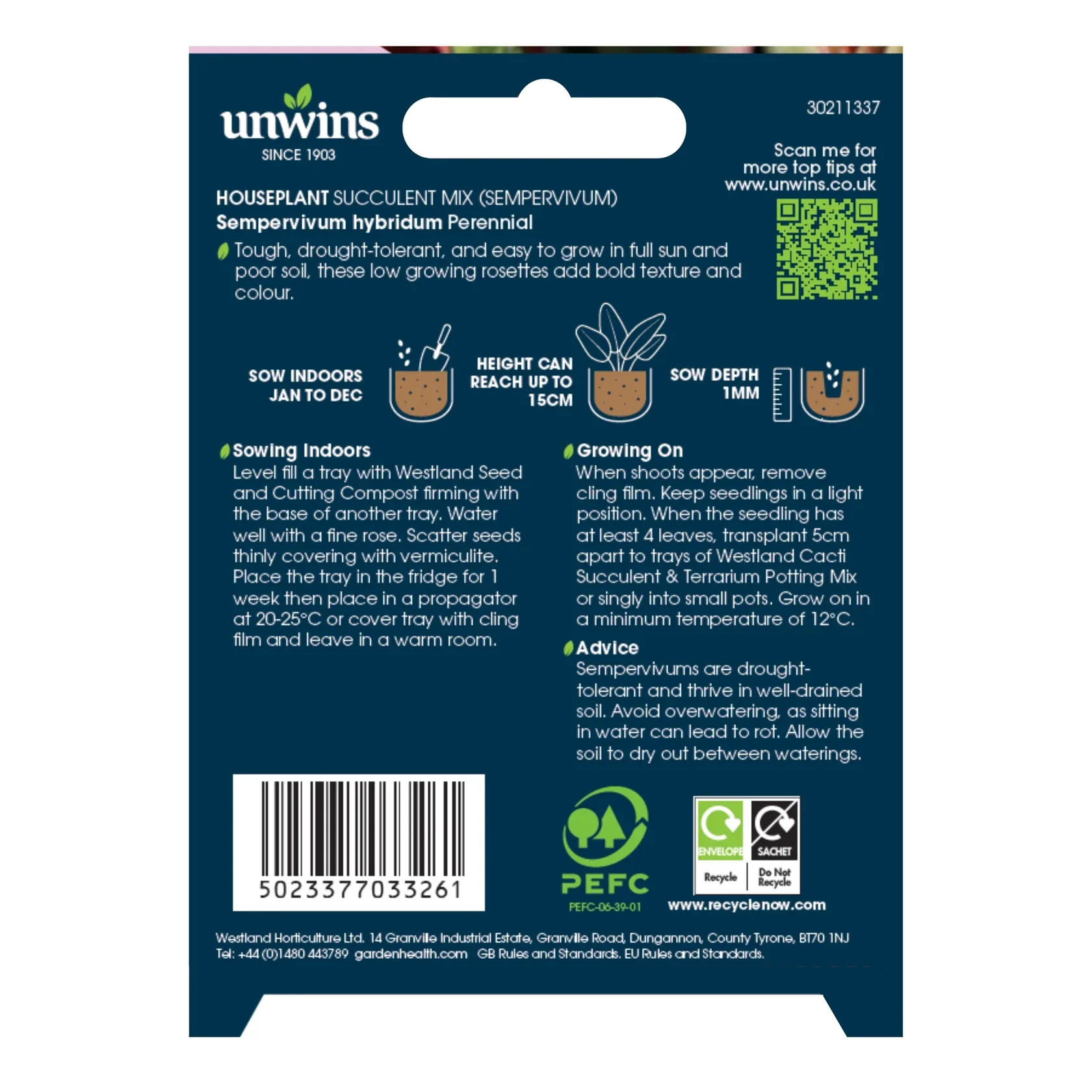 Unwins Houseplant Succulent Mix (Sempervivum) - Image 2
