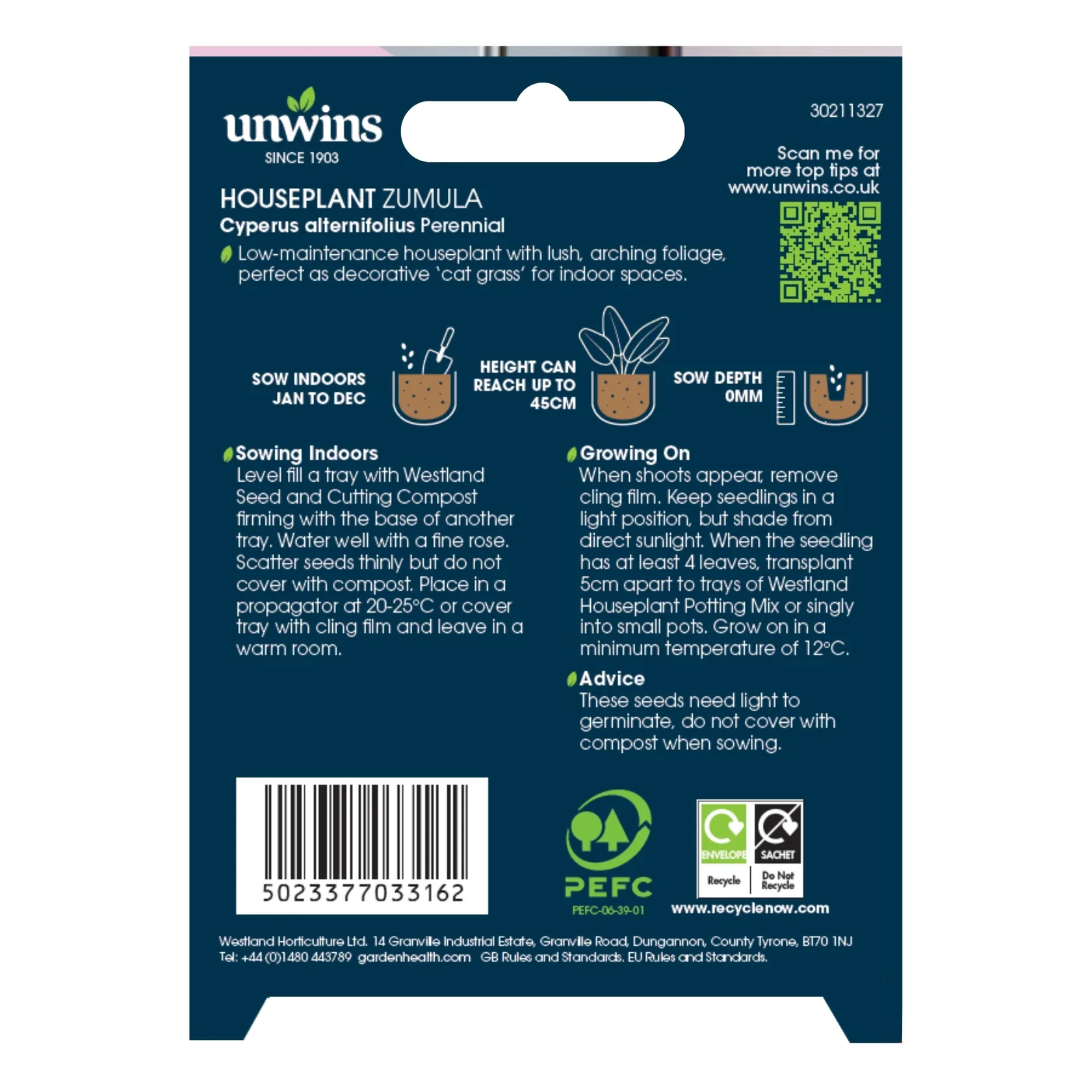 Unwins Houseplant Zumula - Image 2
