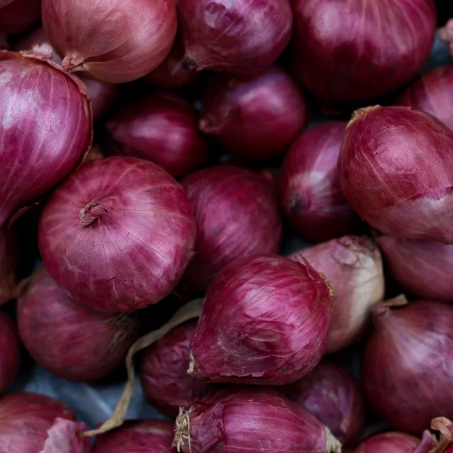 VALUE ONION RED BARON 100 - Image 2