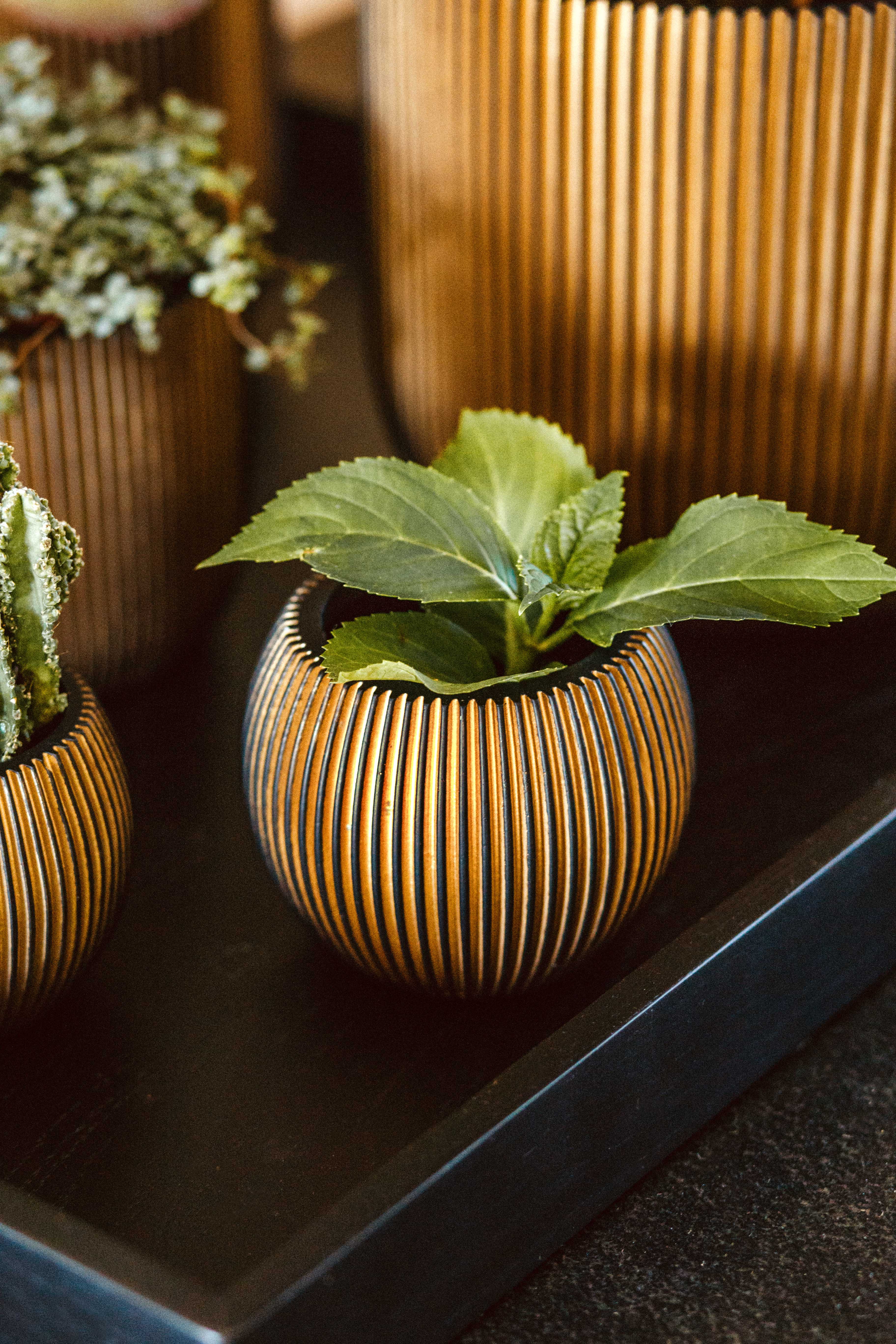 Vase ball Groove Ø18x15 black gold - Image 3