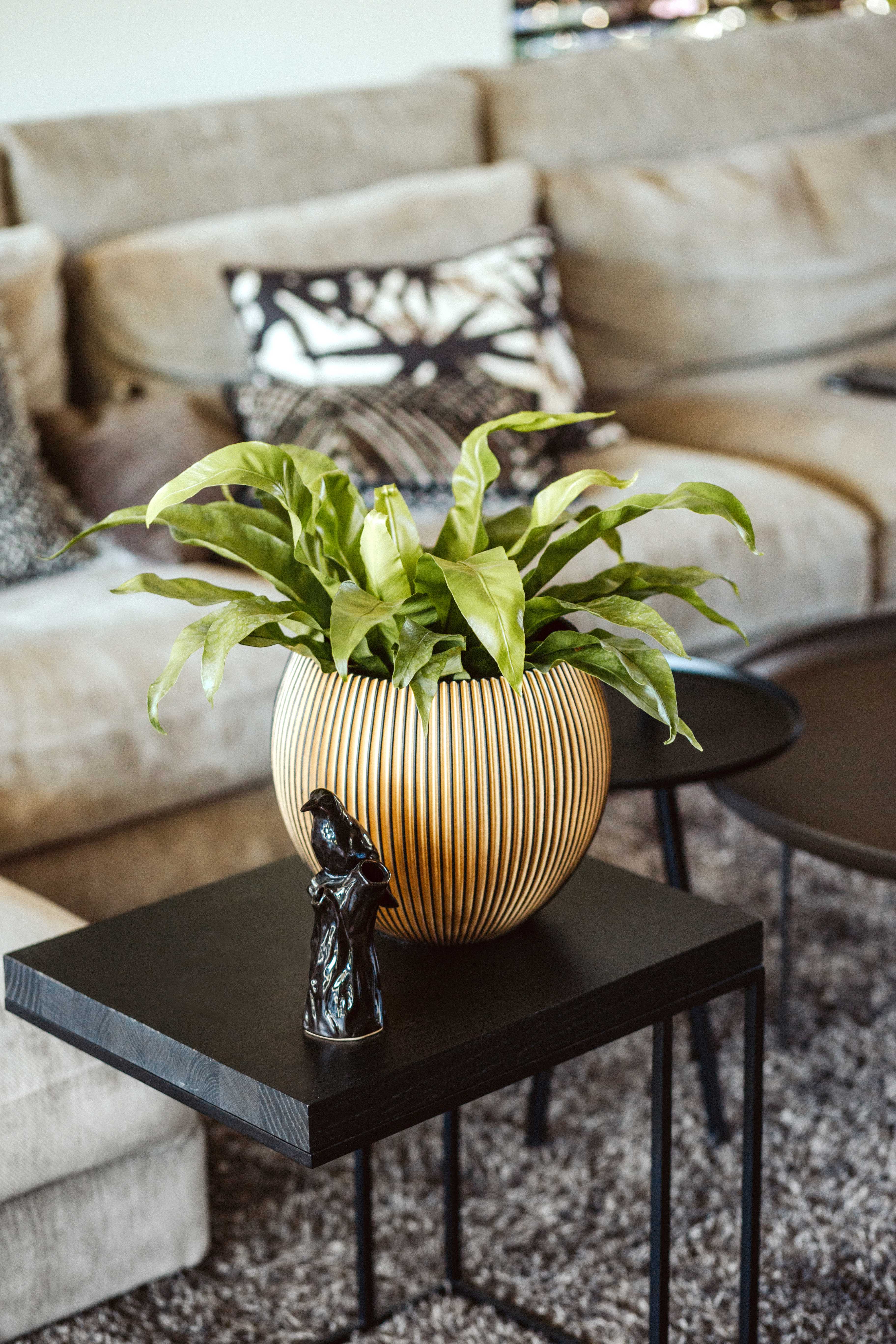 Vase ball Groove Ø18x15 black gold - Image 7