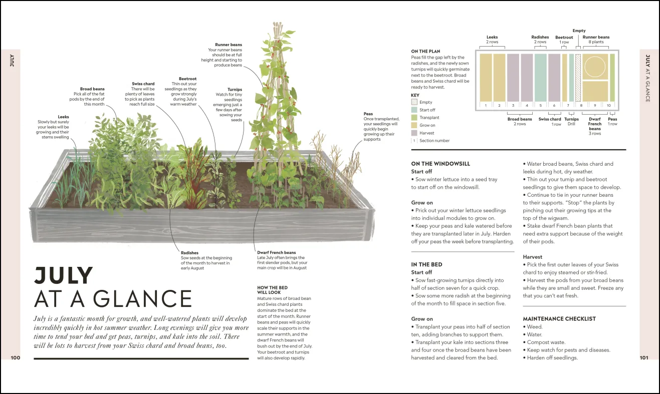 Veg in a Bed - Image 3