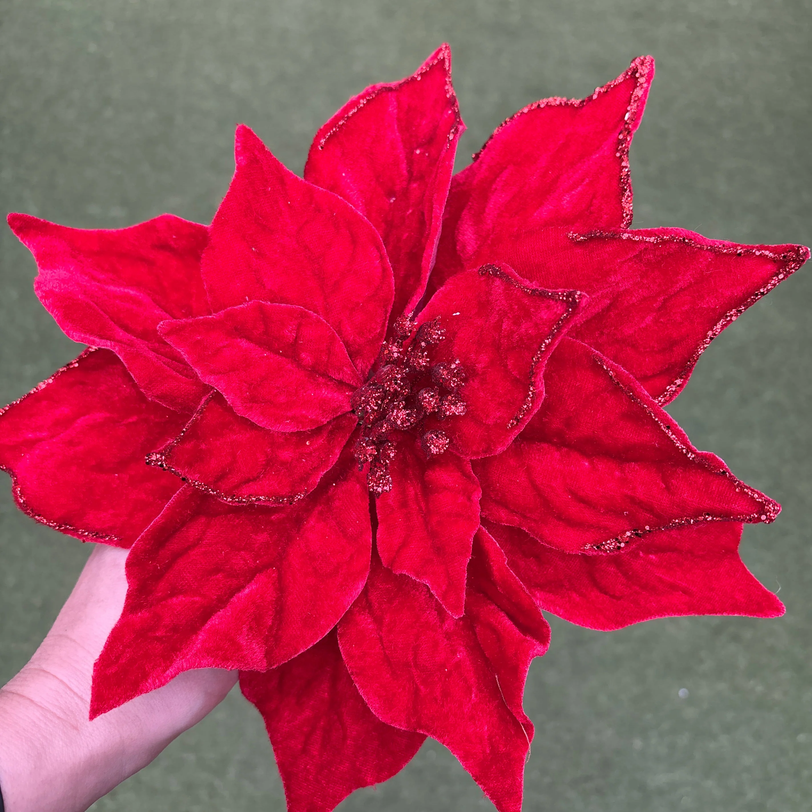 Velvet Luxe Poinsettia Clip 23 - Image 2