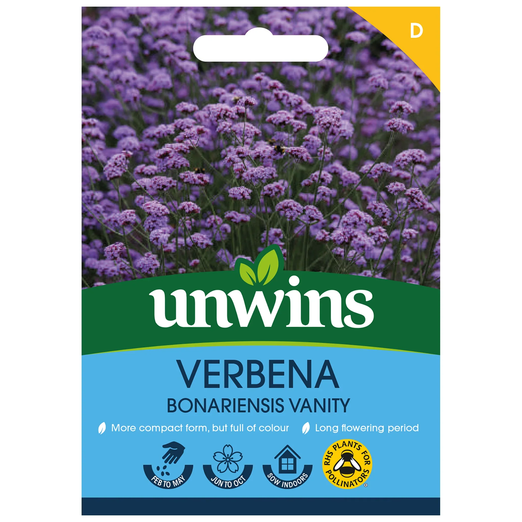 Verbena bonariensis VanityFlower