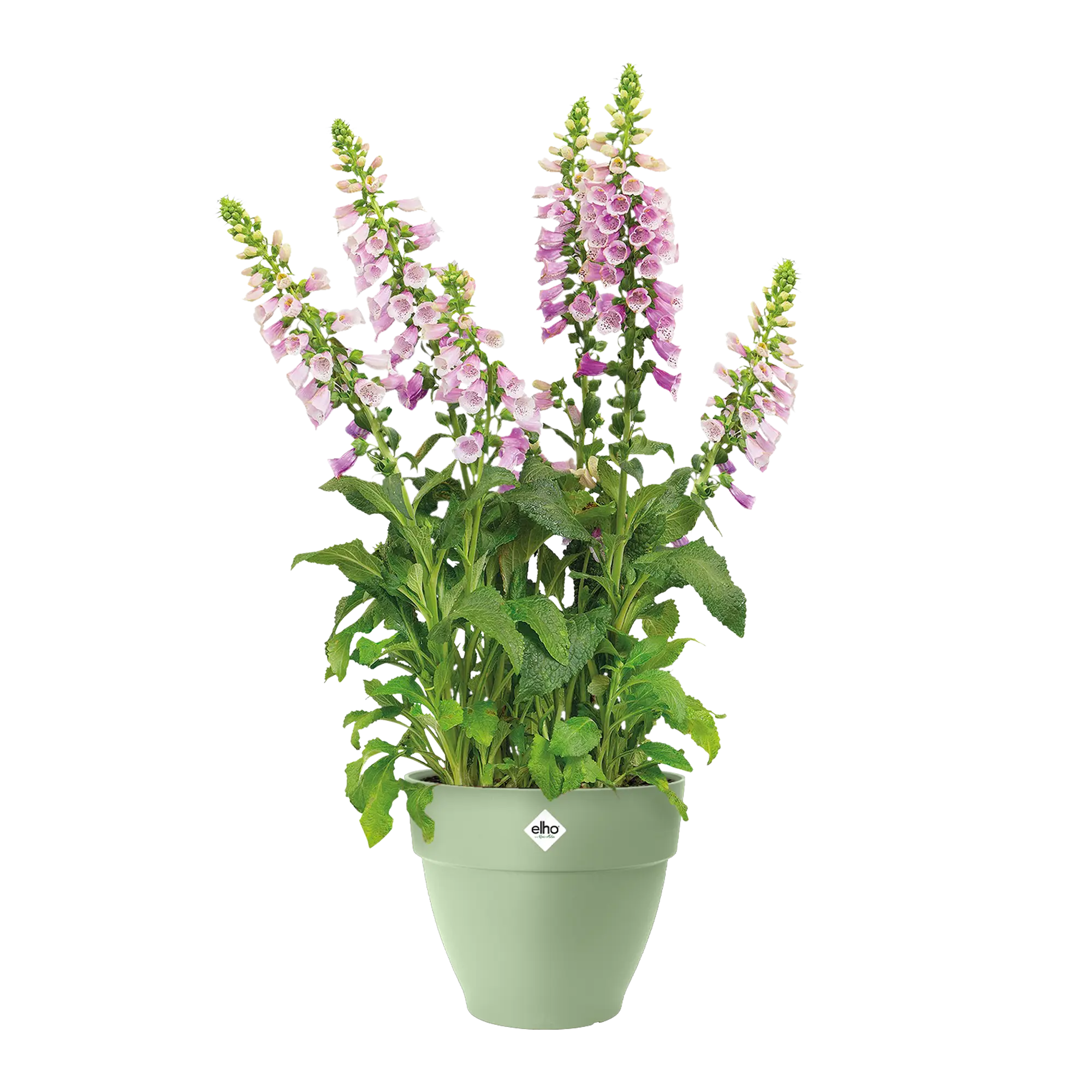 vibia campana pistachio green Ø35cm - Image 2