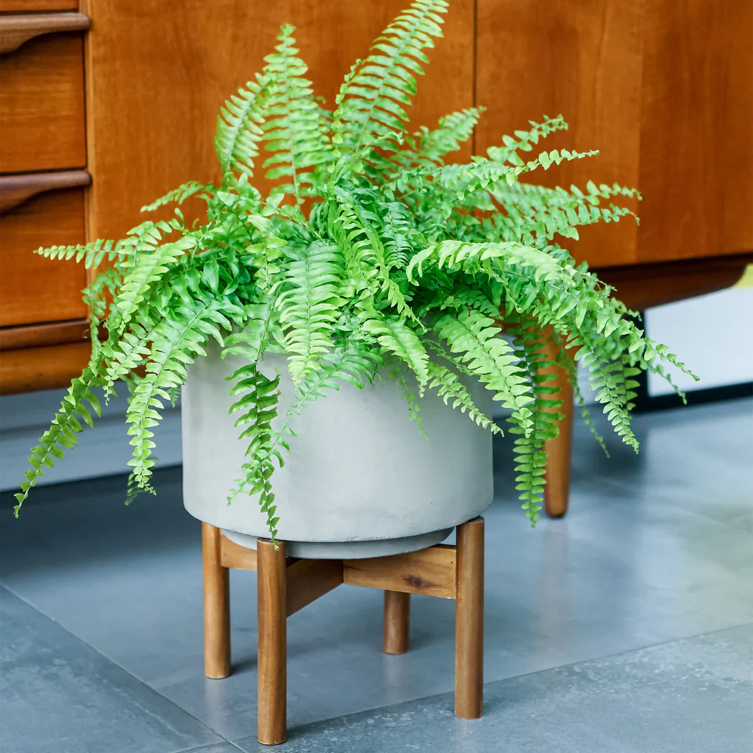 vigo concrete grey Planter with stand Ø22cm - Image 2