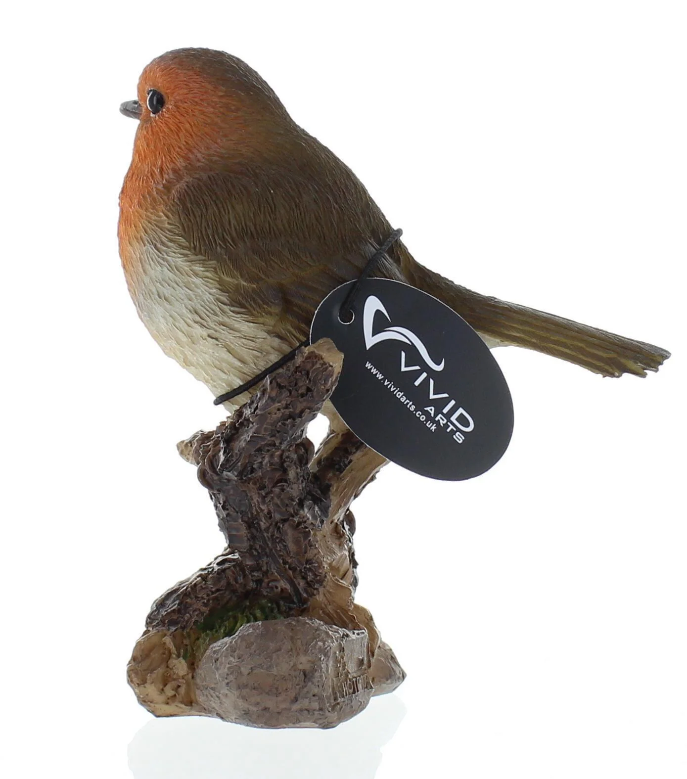 WBC Robin F - Image 3