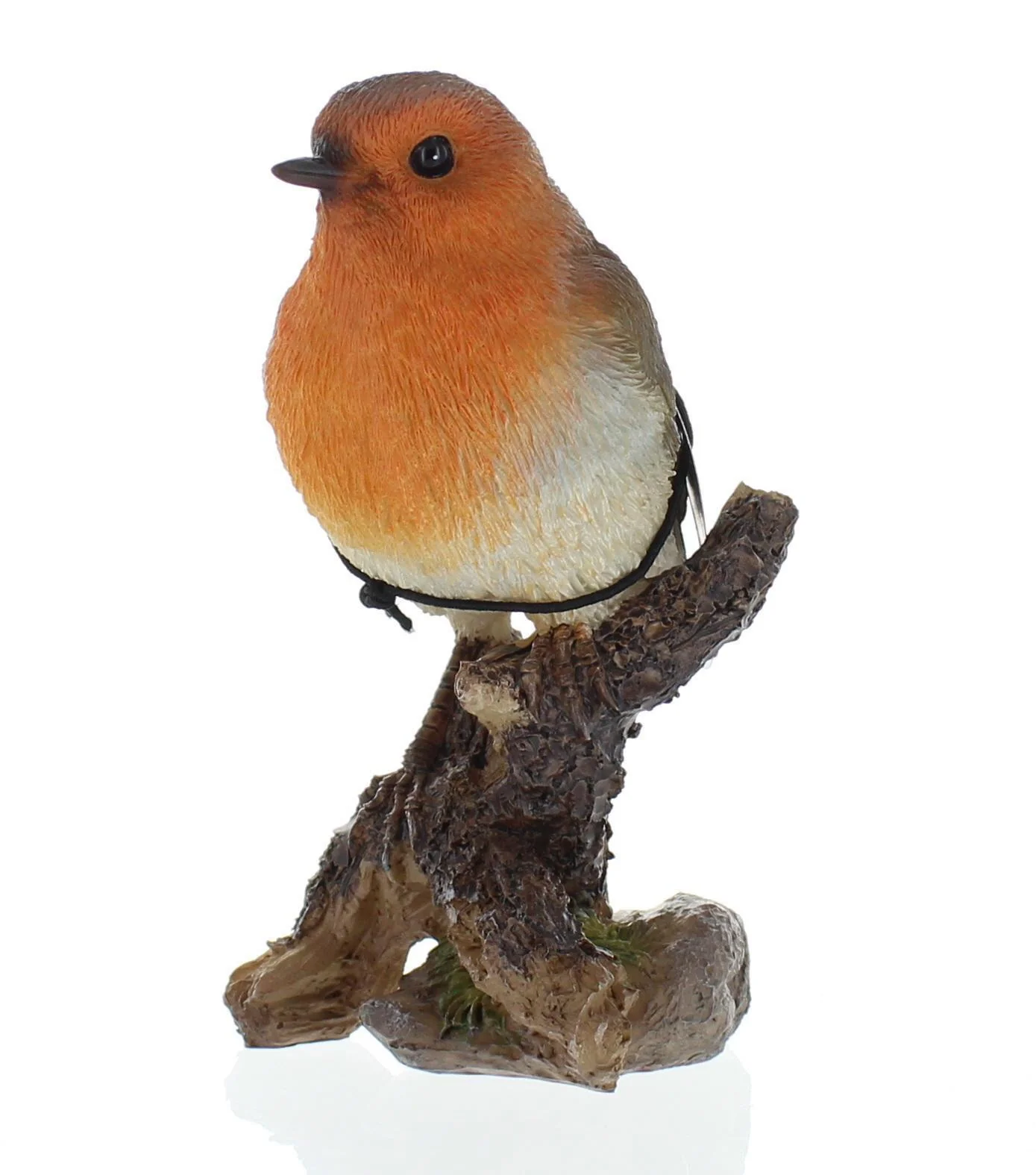 WBC Robin F - Image 4