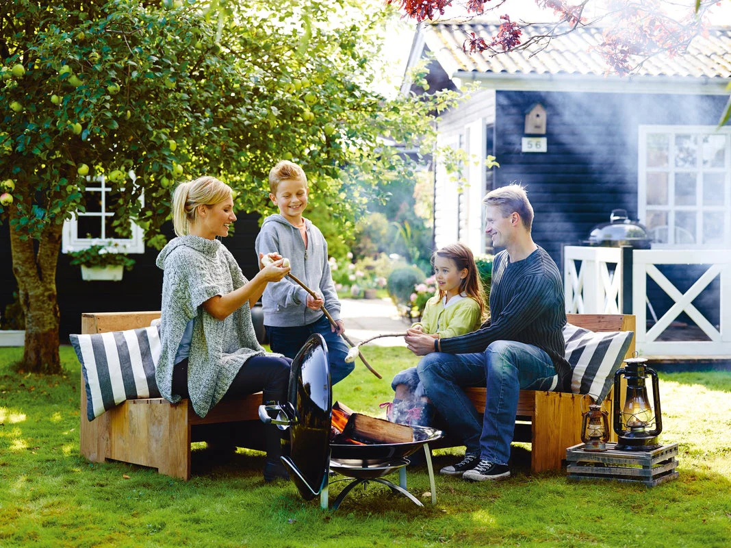 Weber Fireplace - Image 2