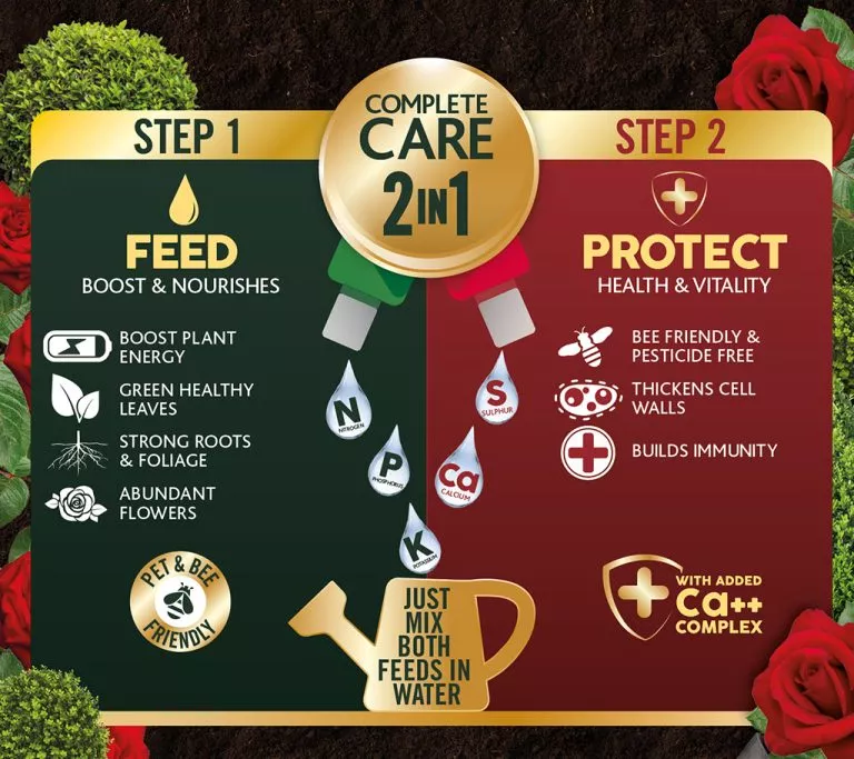 Westland 2n1 Feed and Protect Buxus - Image 4