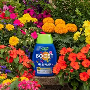 Westland BOOST All Purpose Liquid Plant Food 1Ltr - Image 3