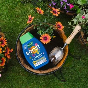 Westland BOOST All Purpose Liquid Plant Food 1Ltr - Image 4