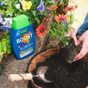 Westland BOOST All Purpose Liquid Plant Food 1Ltr - Image 6