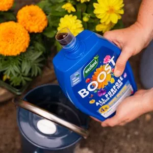 Westland BOOST All Purpose Liquid Plant Food 1Ltr - Image 7