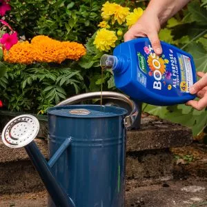Westland BOOST All Purpose Liquid Plant Food 1Ltr - Image 8