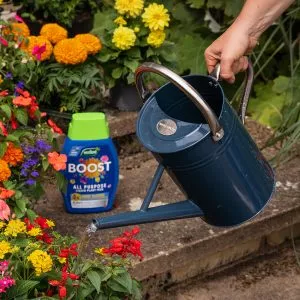 Westland BOOST All Purpose Liquid Plant Food 1Ltr - Image 9