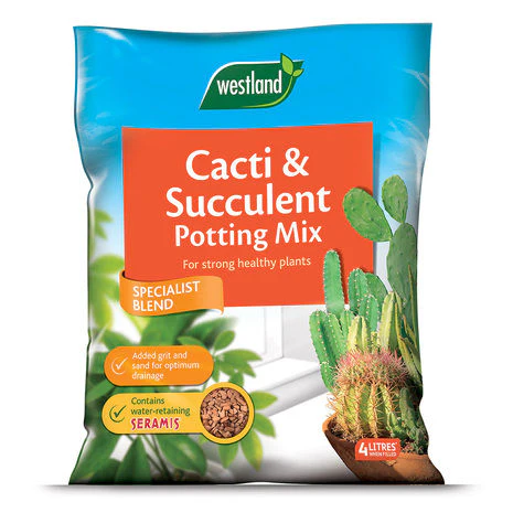 Westland Cacti & Succulent Potting Mix 4L - Image 2