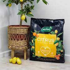 Westland Citrus Potting Mix 10L - Image 3
