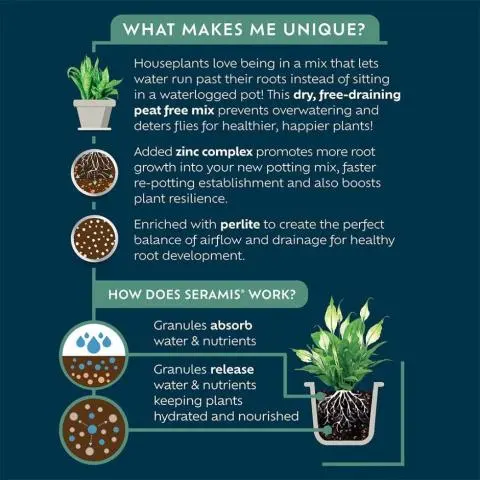 Westland Houseplant Potting Mix 10L - Image 2