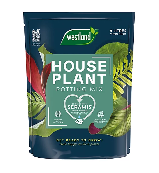Westland Houseplant Potting Mix 4L