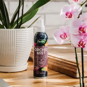 Westland Orchid Mist 250ml - Image 4