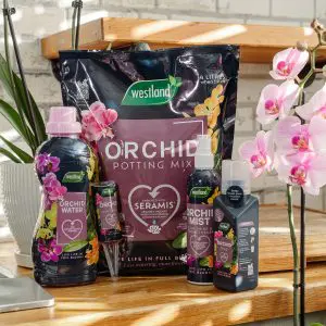 Westland Orchid Mist 250ml - Image 6