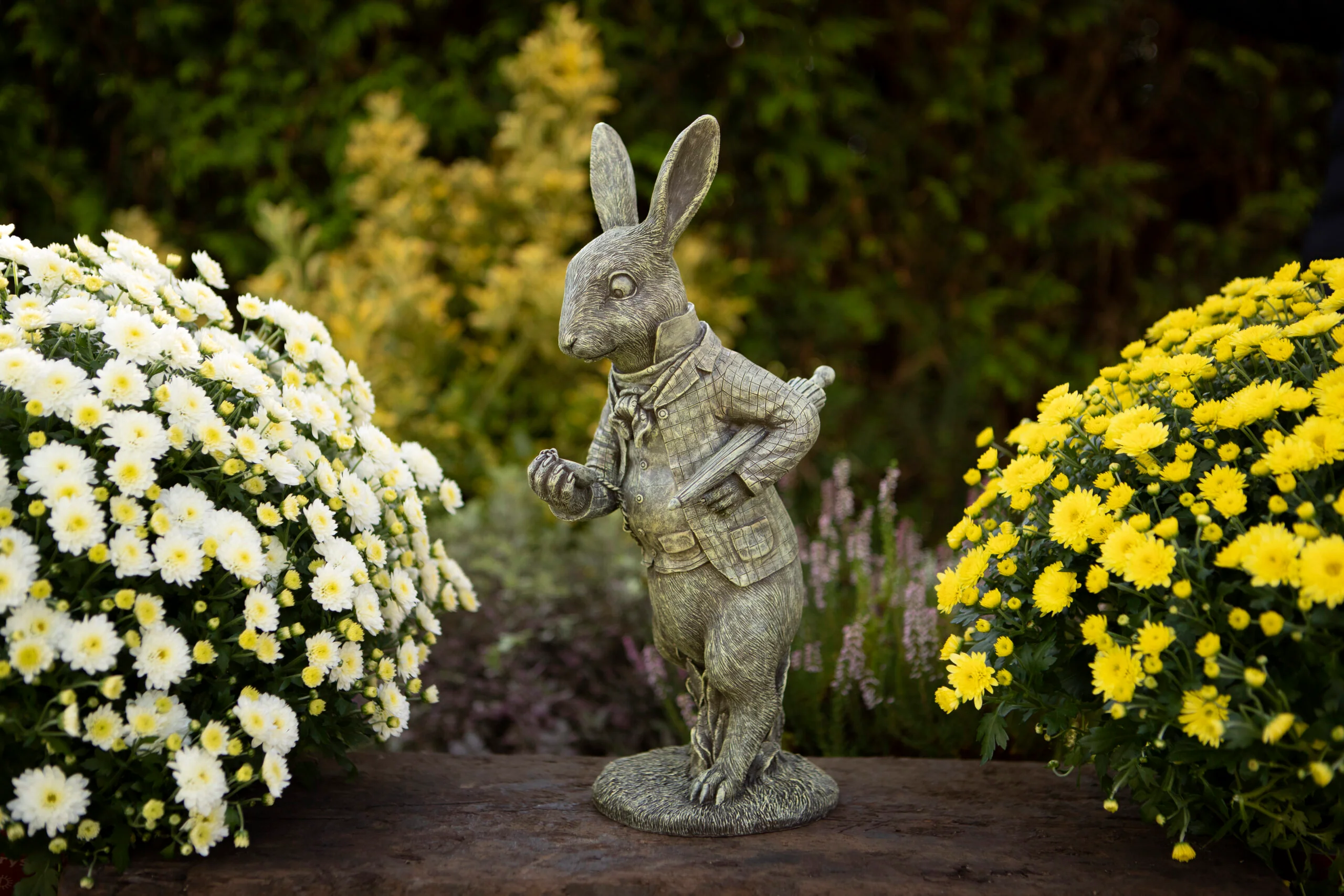 White Rabbit - Image 2