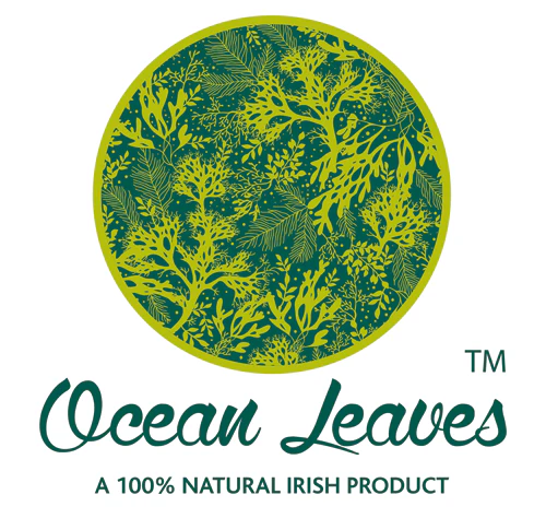 Wild Organic Seaweed 5Kg Bucket - Image 2