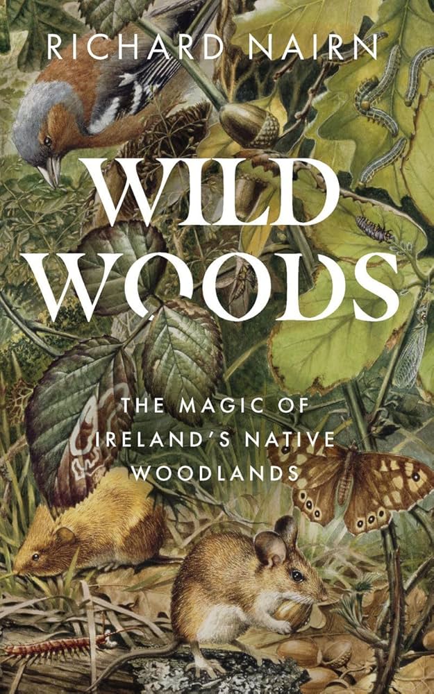 Wild Woods Ireland Native Woodlands