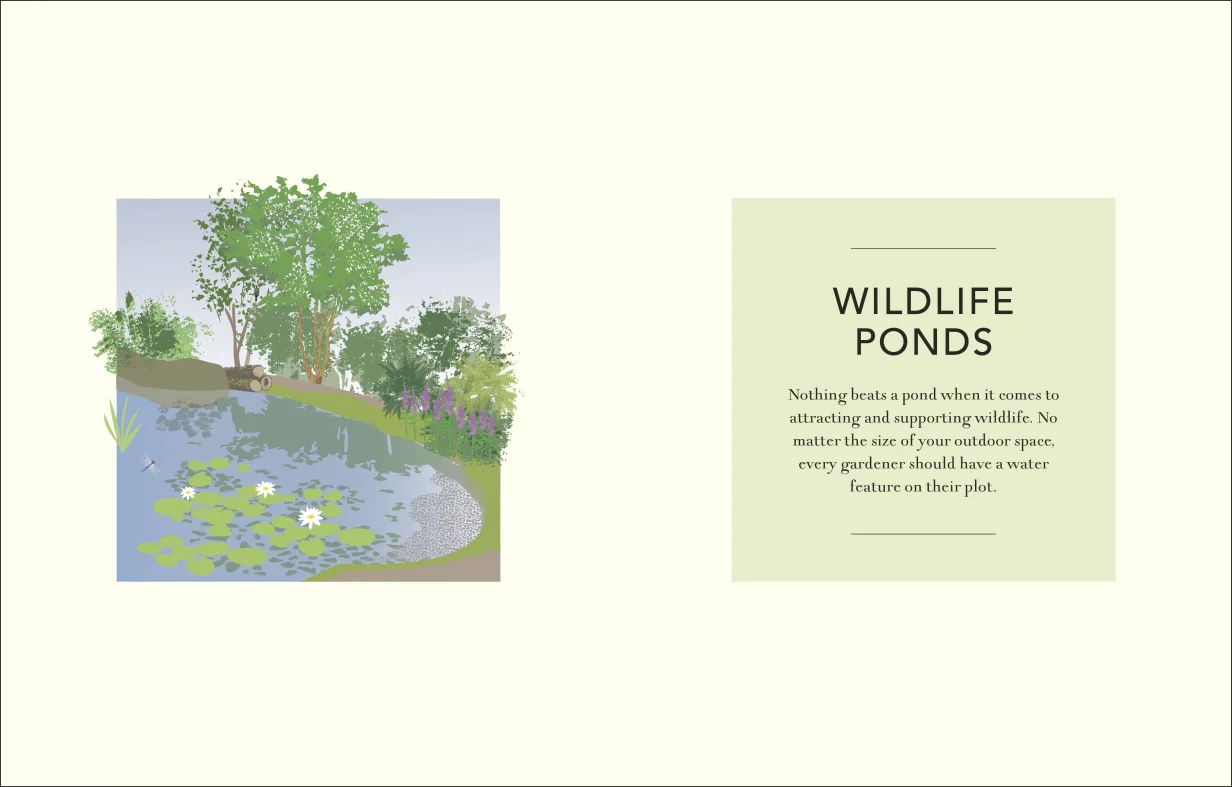 Wild Your Garden - Image 3
