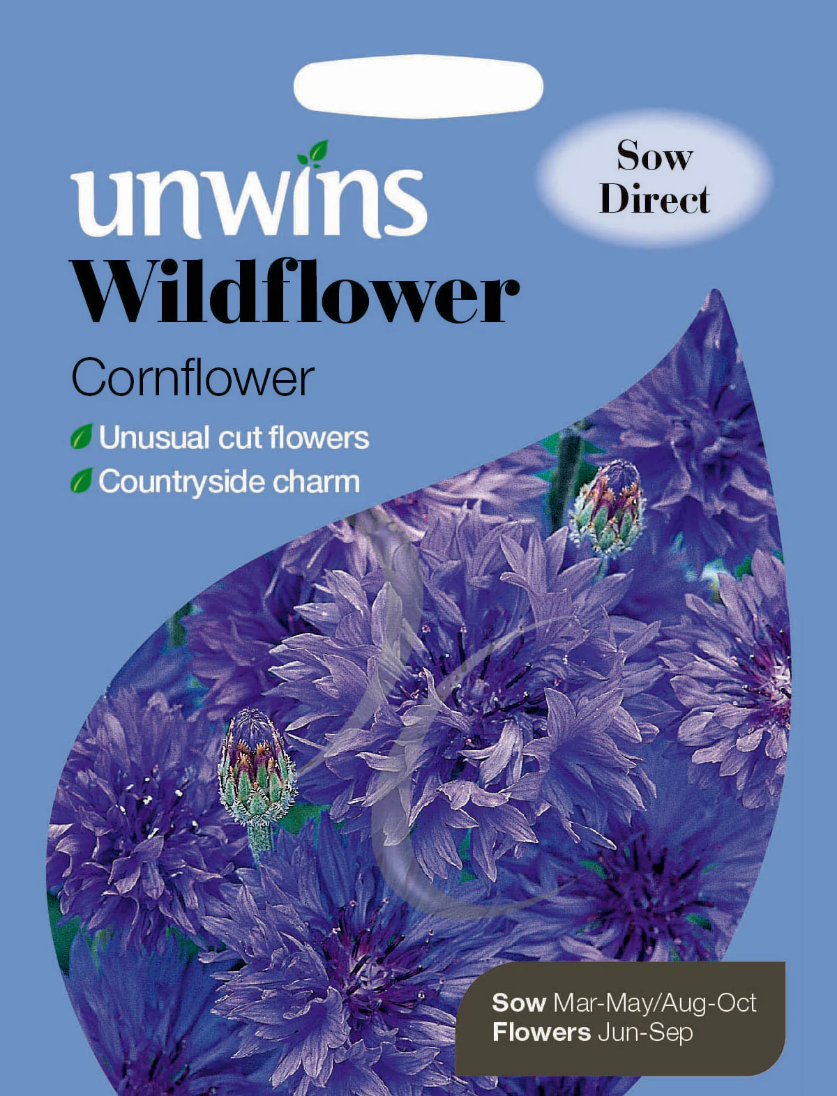 Wildflower Cornflower
